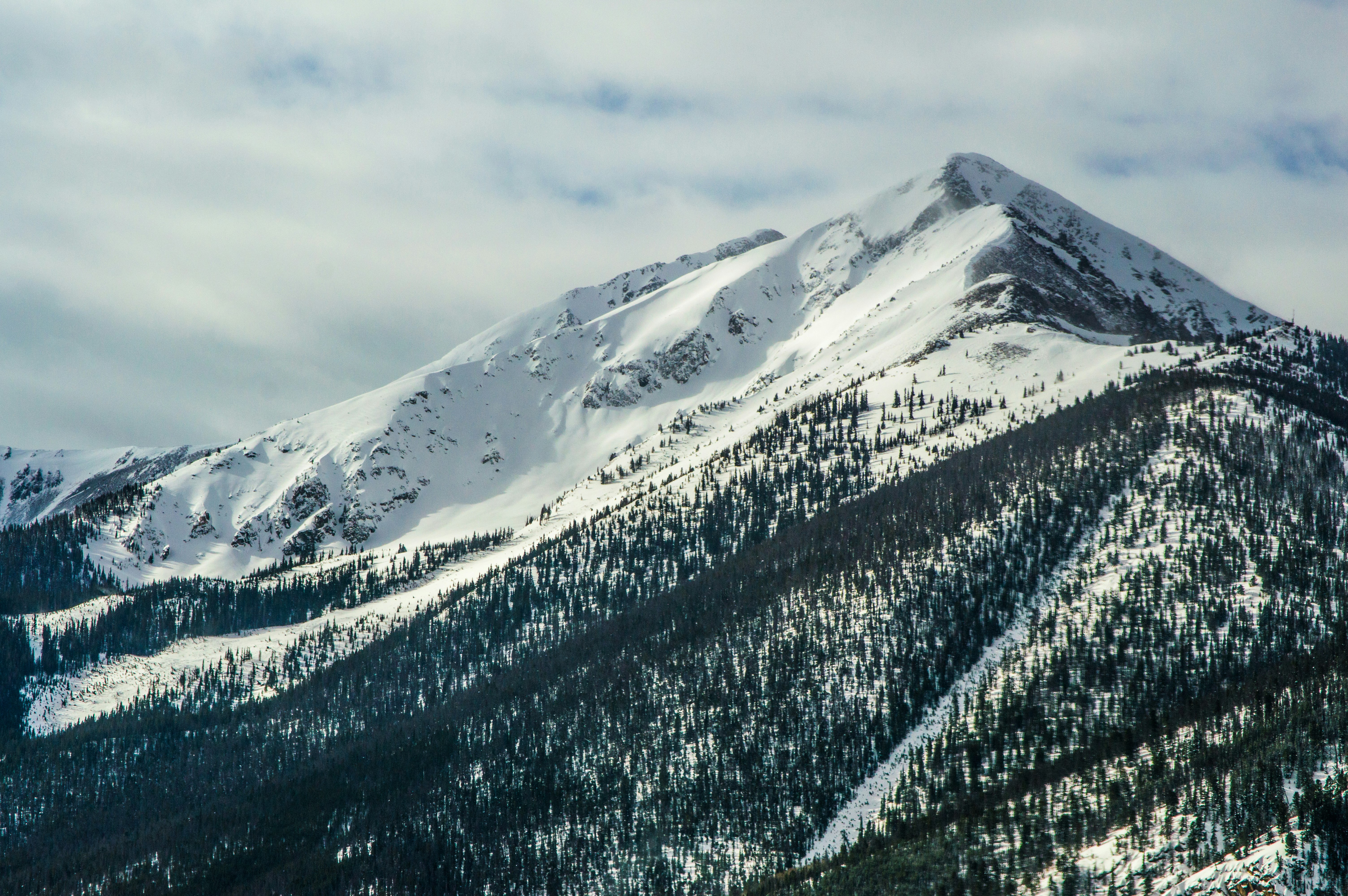 mountain