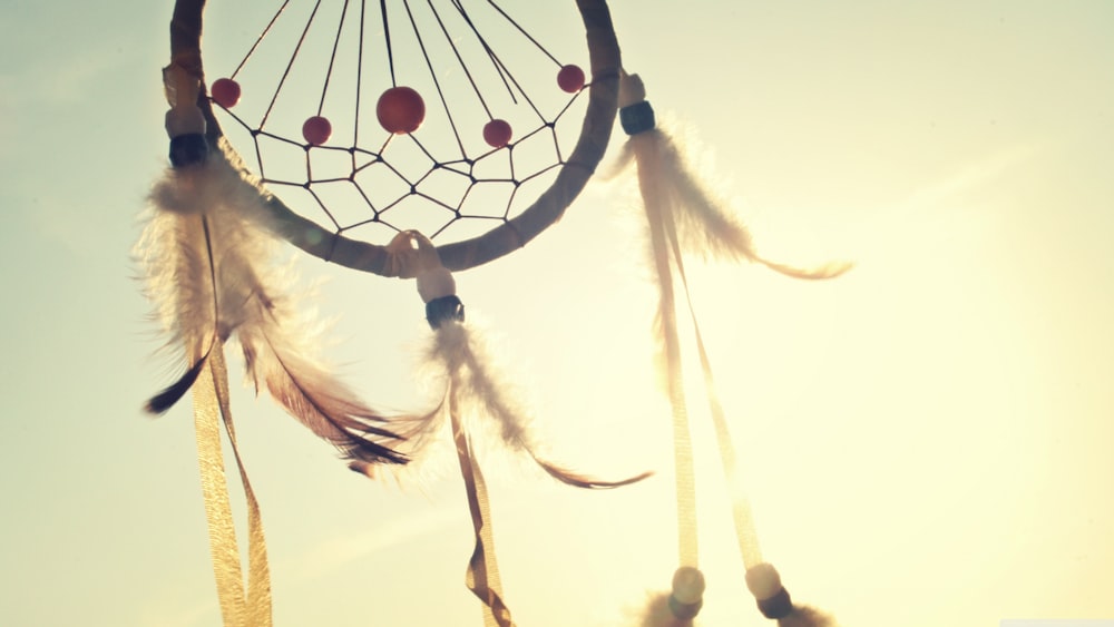 white and blue dream catcher