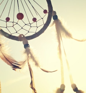 white and blue dream catcher