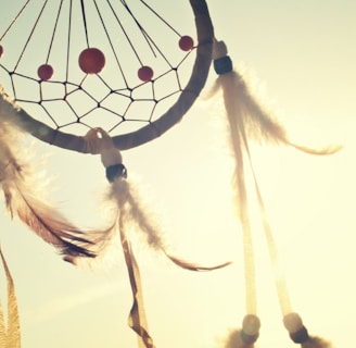 white and blue dream catcher