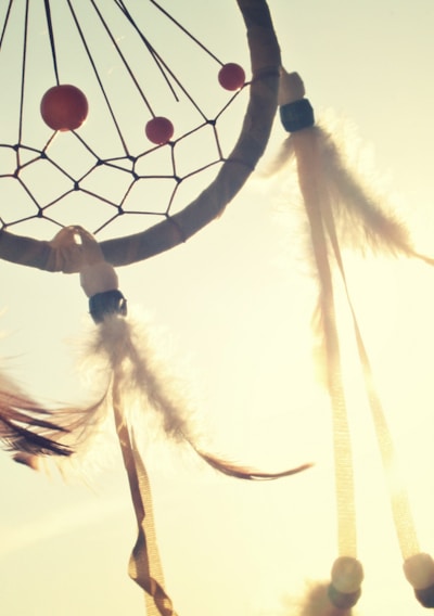 white and blue dream catcher