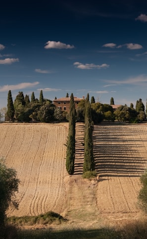 A serene landscape showing a countryside estate atop a hill. Tall, slender cypress trees line a path leading up to a rustic farmhouse surrounded by trees and greenery. The fields in the foreground are neatly plowed, displaying rows of harvested crops under a dramatic sky with scattered clouds.