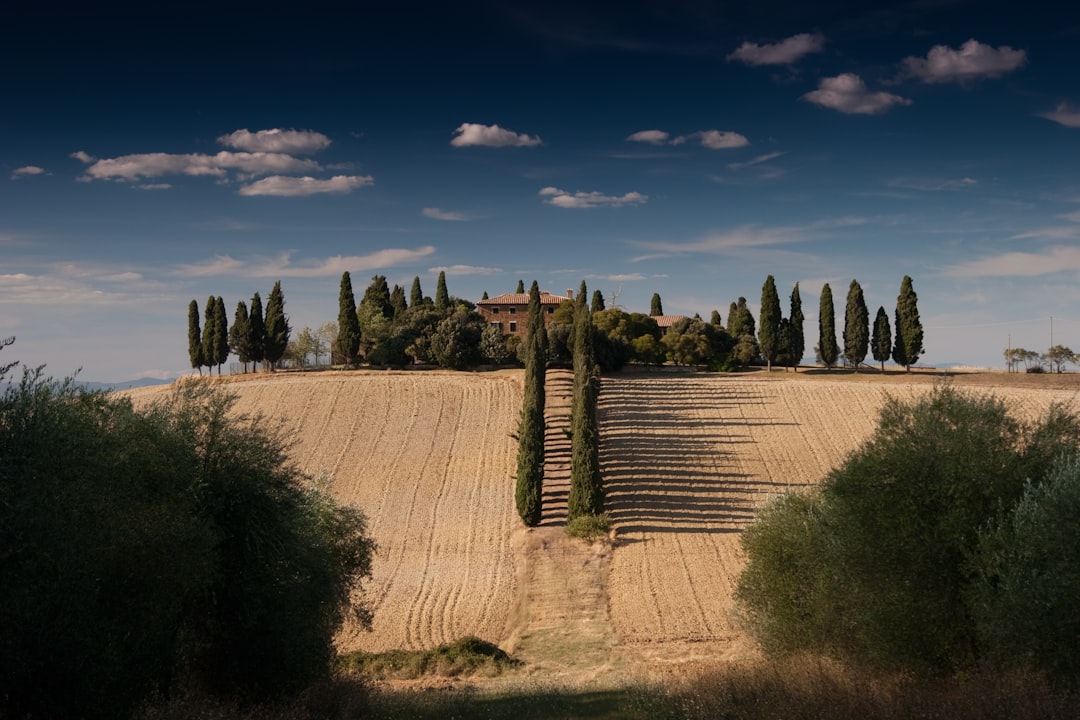 brown house surrounded by pine trees at hill under blow skies photo during daytime, A beautiful farmhouse in Toscana. Featured in Gladiator movie