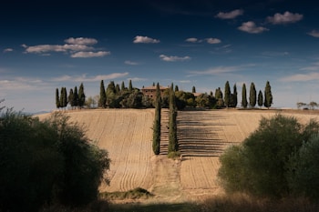 A serene landscape showing a countryside estate atop a hill. Tall, slender cypress trees line a path leading up to a rustic farmhouse surrounded by trees and greenery. The fields in the foreground are neatly plowed, displaying rows of harvested crops under a dramatic sky with scattered clouds.