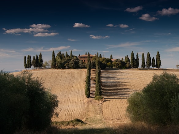 A serene landscape showing a countryside estate atop a hill. Tall, slender cypress trees line a path leading up to a rustic farmhouse surrounded by trees and greenery. The fields in the foreground are neatly plowed, displaying rows of harvested crops under a dramatic sky with scattered clouds.