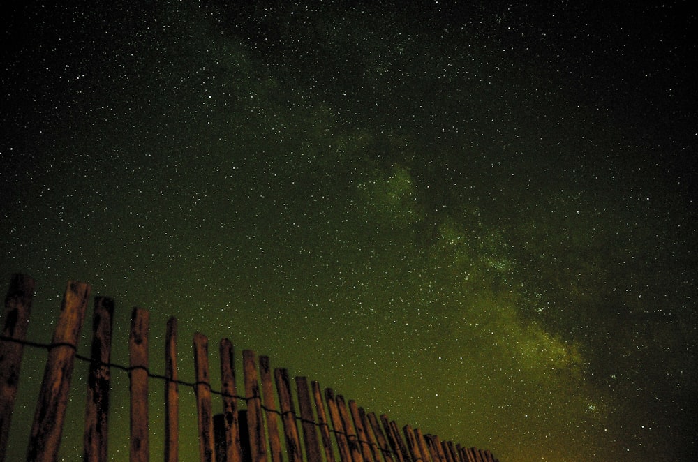 worm's-eye photography of starry night