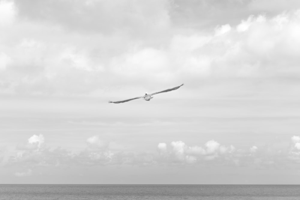 grayscale photo of bird flying