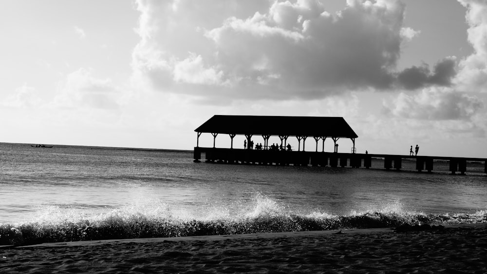 Photo en niveaux de gris des vagues de l’océan