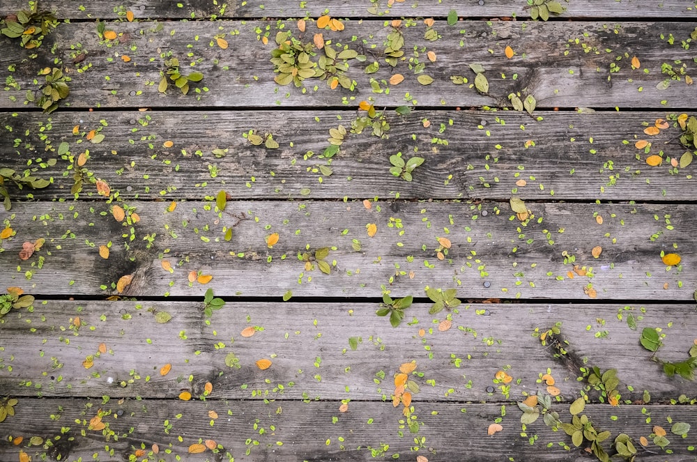 brown and green surface