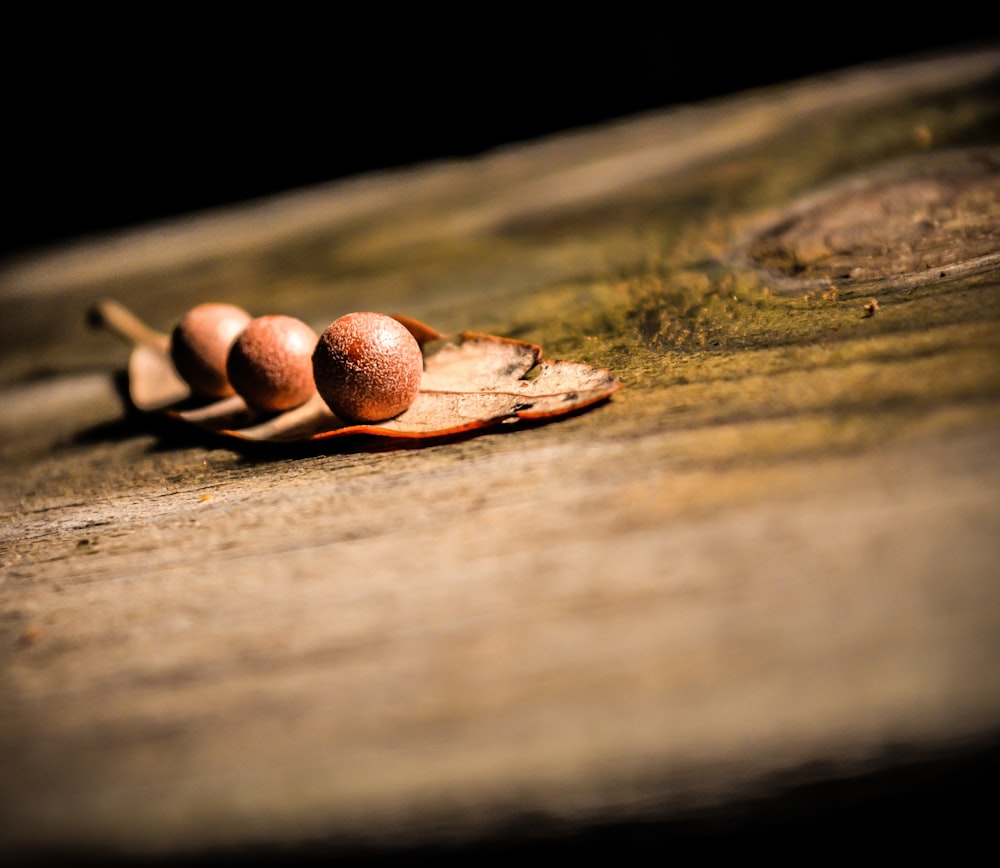 Tiefenschärfefotografie von drei runden Früchten