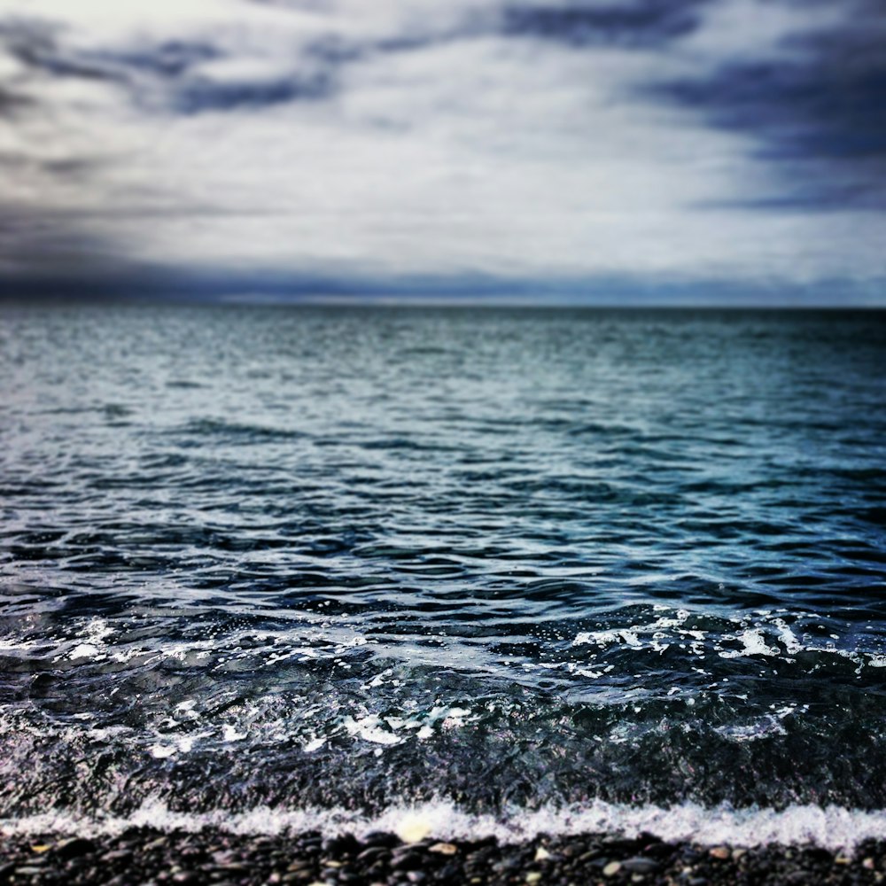 close up photography of calm body of water