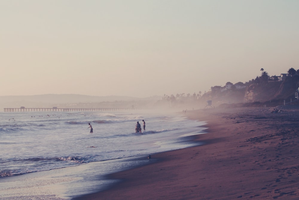 people standing on sea shore