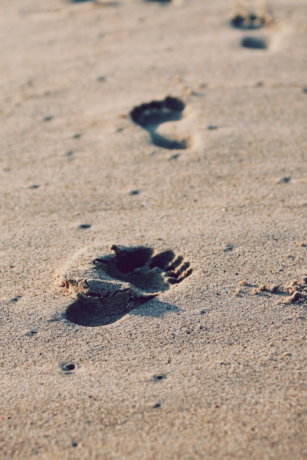 Huellas de pies en la arena de la playa