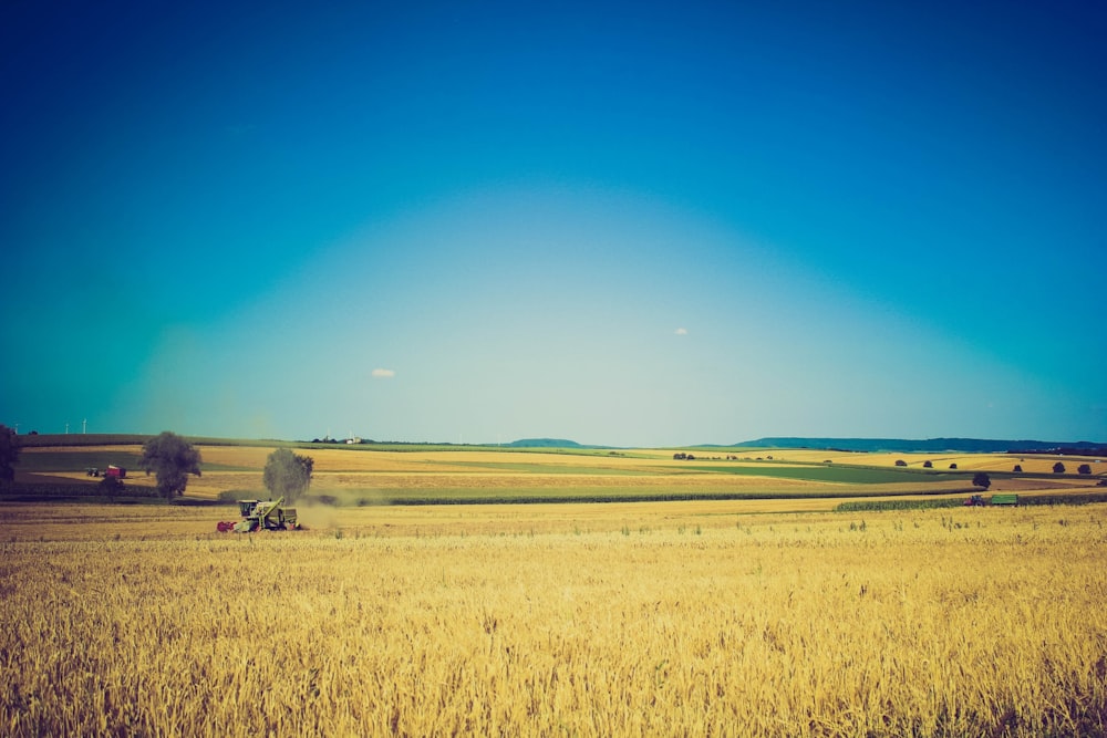 braunes Grasfeld Hintergrund von Mountain View