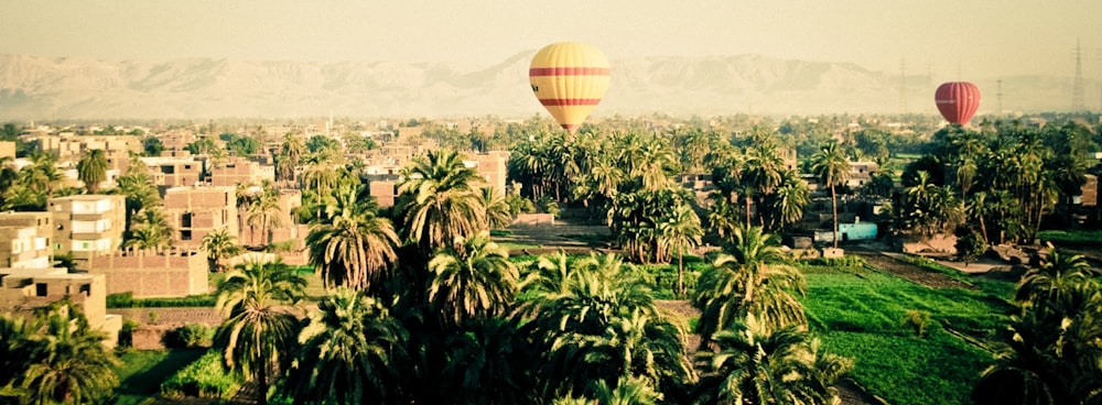 yellow and red hot air balloons during daytime