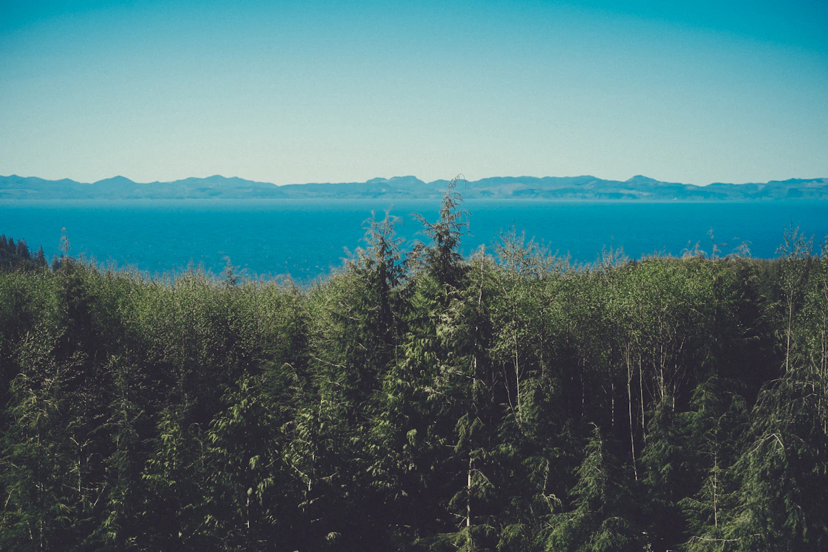 Why Eco-Friendly Polyester Is A Lie | STRAYED