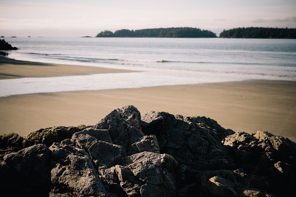 rippling body of water facing the coastline