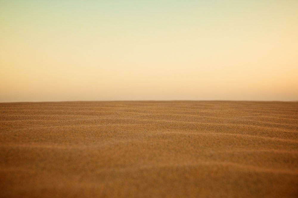 사막의 선택적 초점 사진