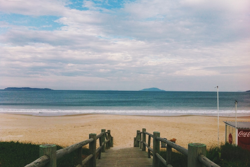 seashore near body of water at daytime