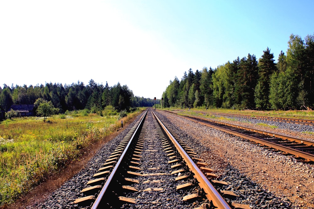 brown train rails
