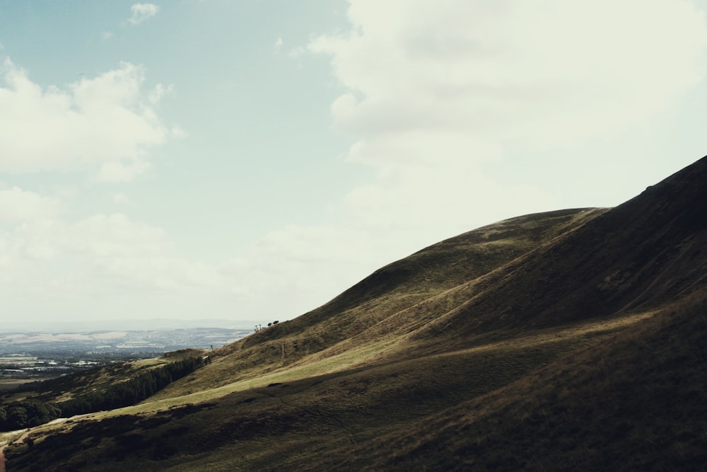 green valley under white sky