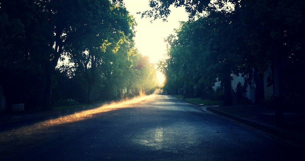 low-light photo of gray pavement