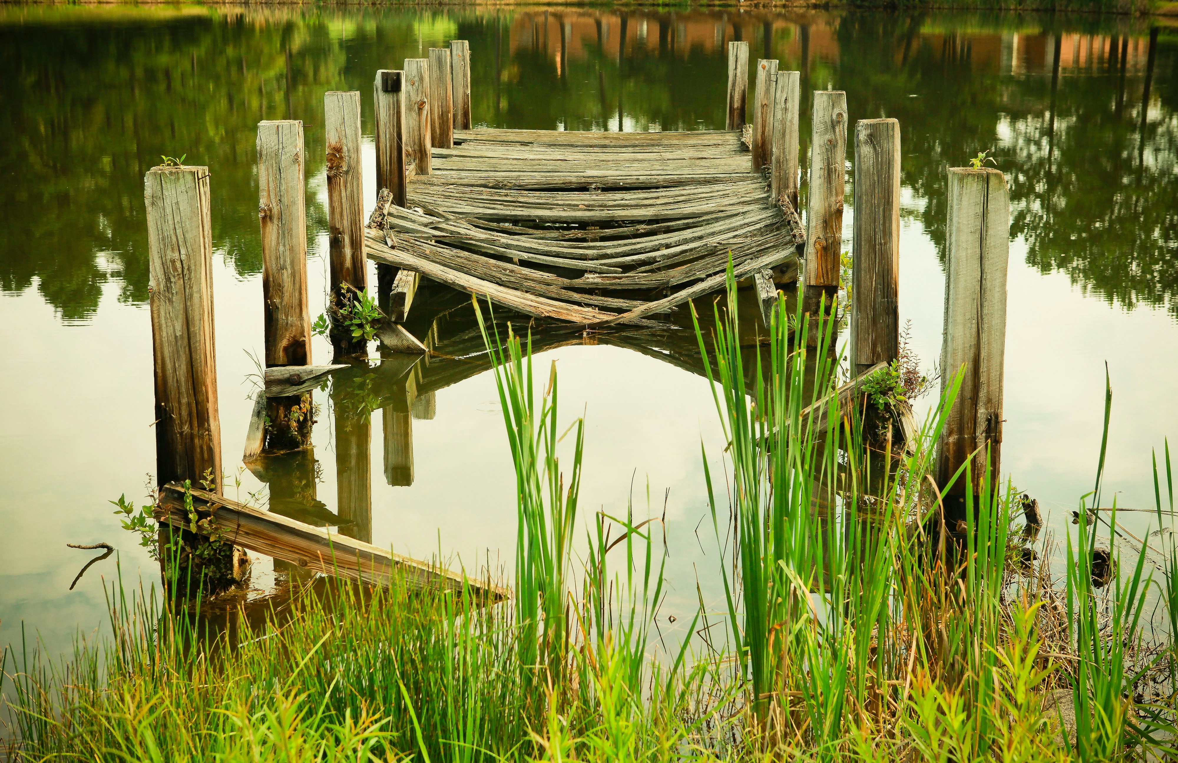 brown wooden dock during daytime