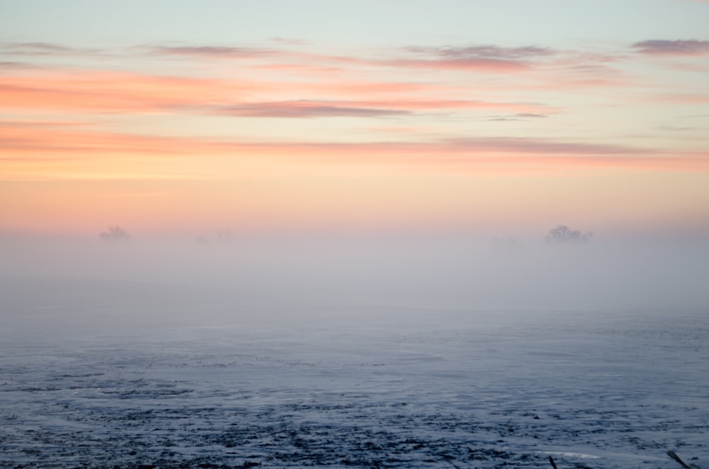 photo of body of water