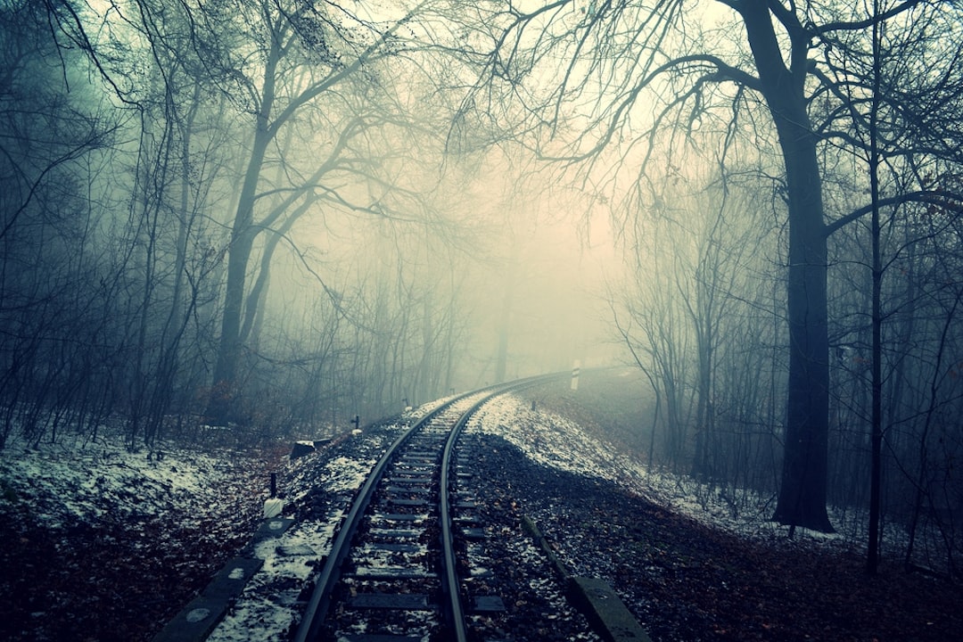 Spirit Gets Spooky: Airline Offers Frightful Buyouts to Cut Costs… — Spirit Gets Spooky, photo 6