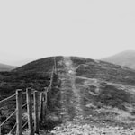 brown wooden fence on the mountain