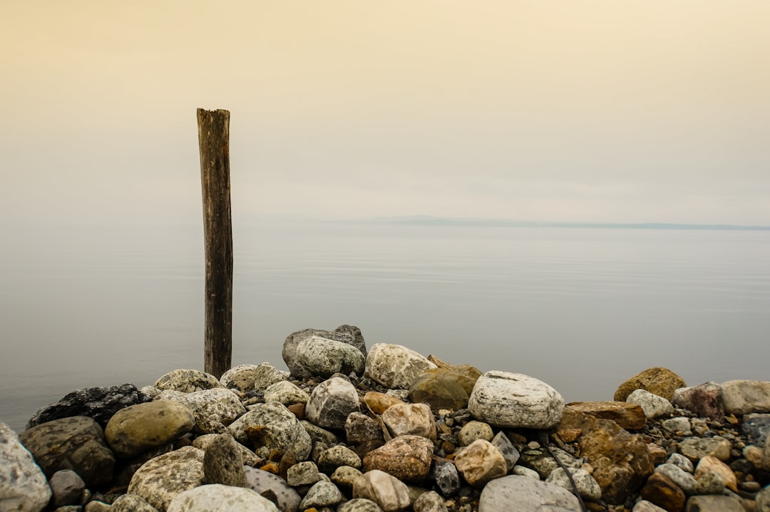 stones and brown wooden stick near body of water under cloudy sky