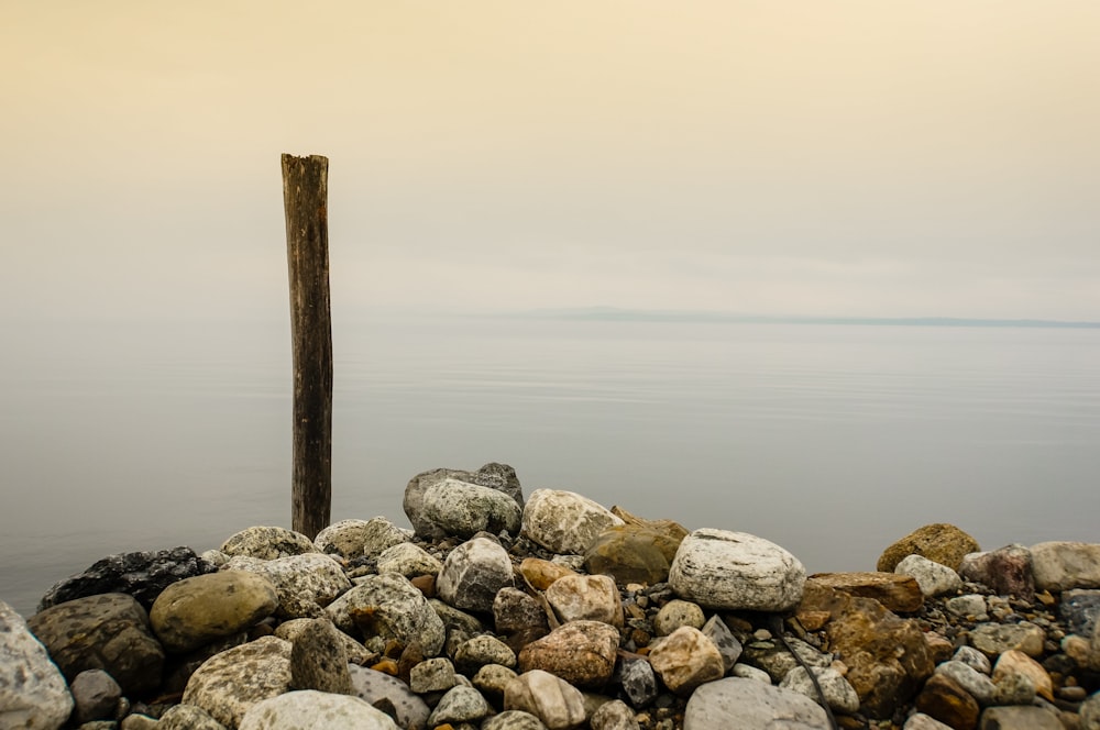 stones and brown wooden stick near body of water under cloudy sky