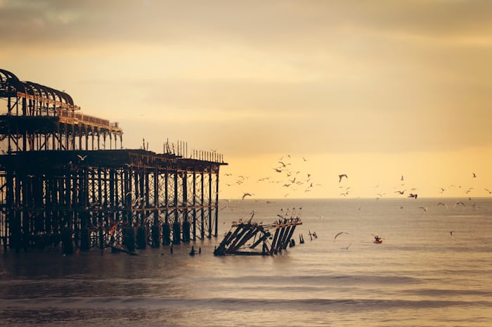Seagulls at West Pier (1pts)