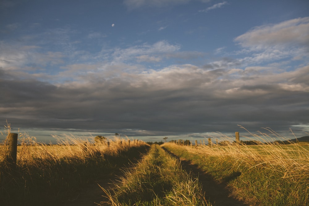 brown farm field with cloudy sky