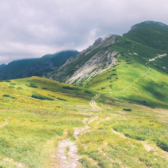 A serene mountain landscape with rolling green hills and a narrow path leading towards the mountains in the distance. Shadows from clouds above create contrasting light and dark areas on the grassy terrain, while the sky is partly overcast with a hint of sunlight.