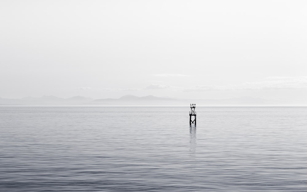 Graustufenfotografie von Post im Meer