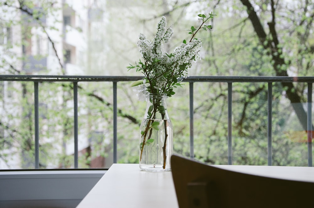 shallow focus photography of white flowers on clear glass vase