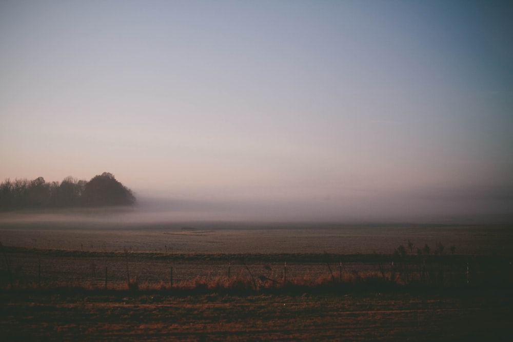 fog covered field
