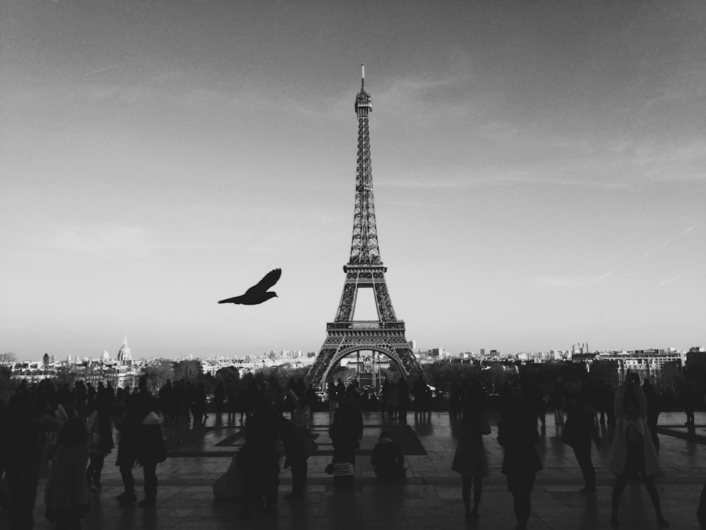 에펠 탑 근처의 사람들 위로 날아가는 새