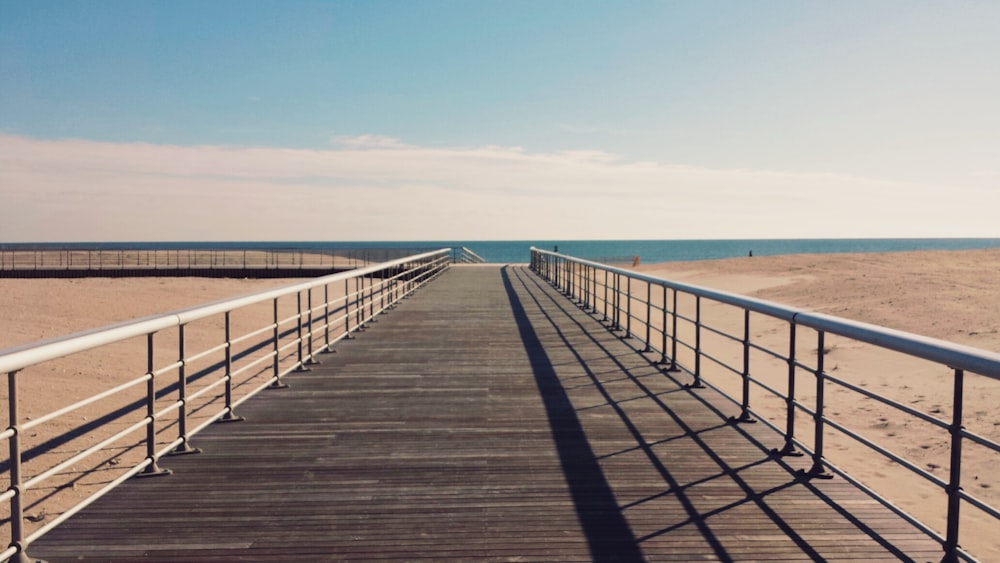 brown and gray dock and sea