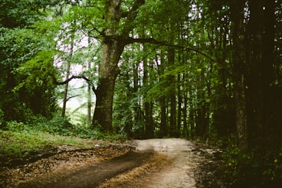https://images.unsplash.com/34/PYiPY2JSkWSJ4knweWRg_IMG_6953.jpg?ixlib=rb-4.1.0&q=80&fm=jpg&crop=entropy&cs=tinysrgb&w=400&fit=max
