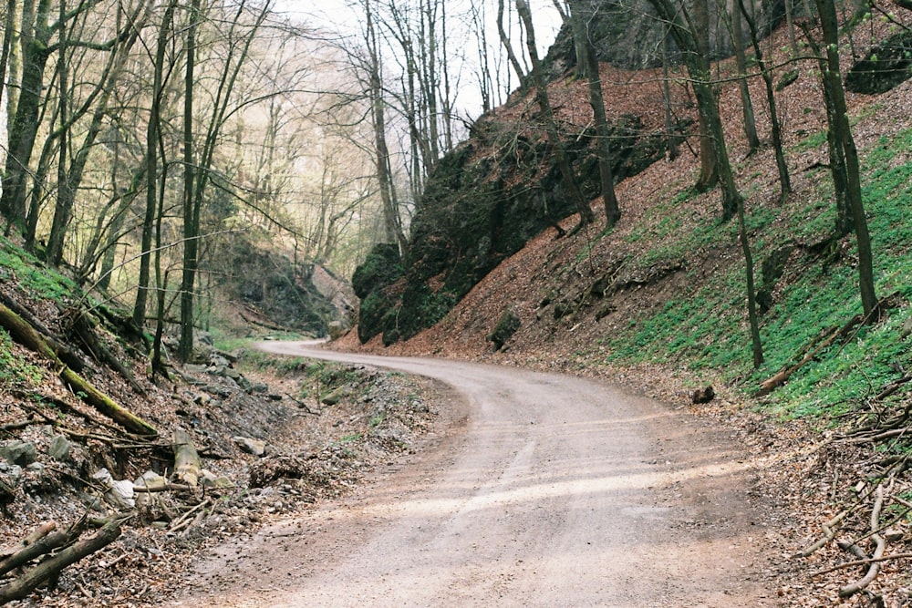 curved dirt road