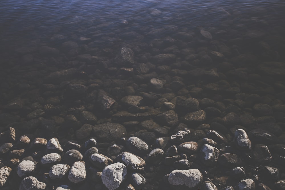 Graue Kieselsteine in der Nähe des Flusses während des Tages