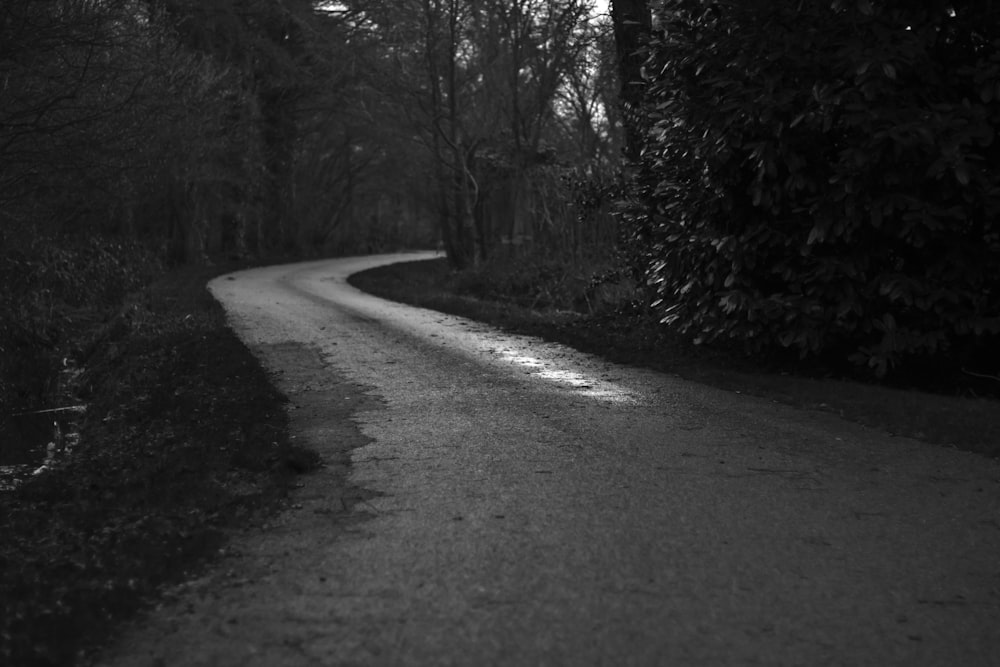 grayscale photo of road in between trees at daytime