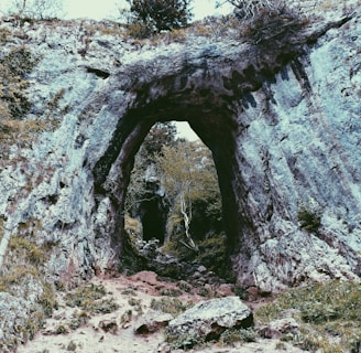 green grass covered rock formation at daytime