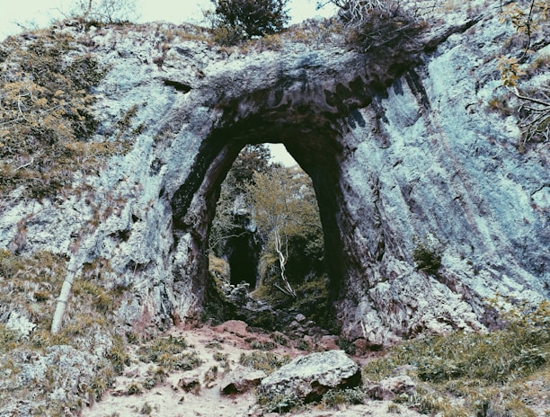 green grass covered rock formation at daytime