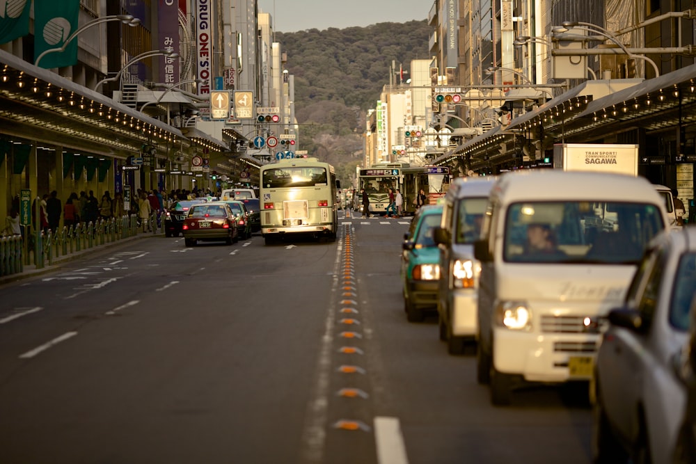 cars and bus stop in front of traffic lights