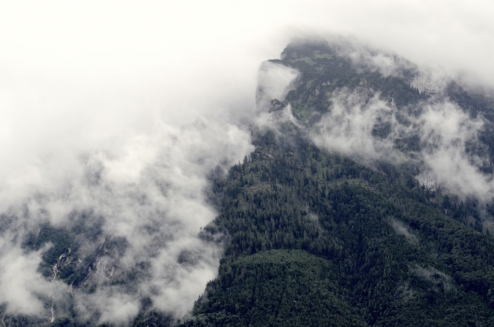 white clouds covering mountain