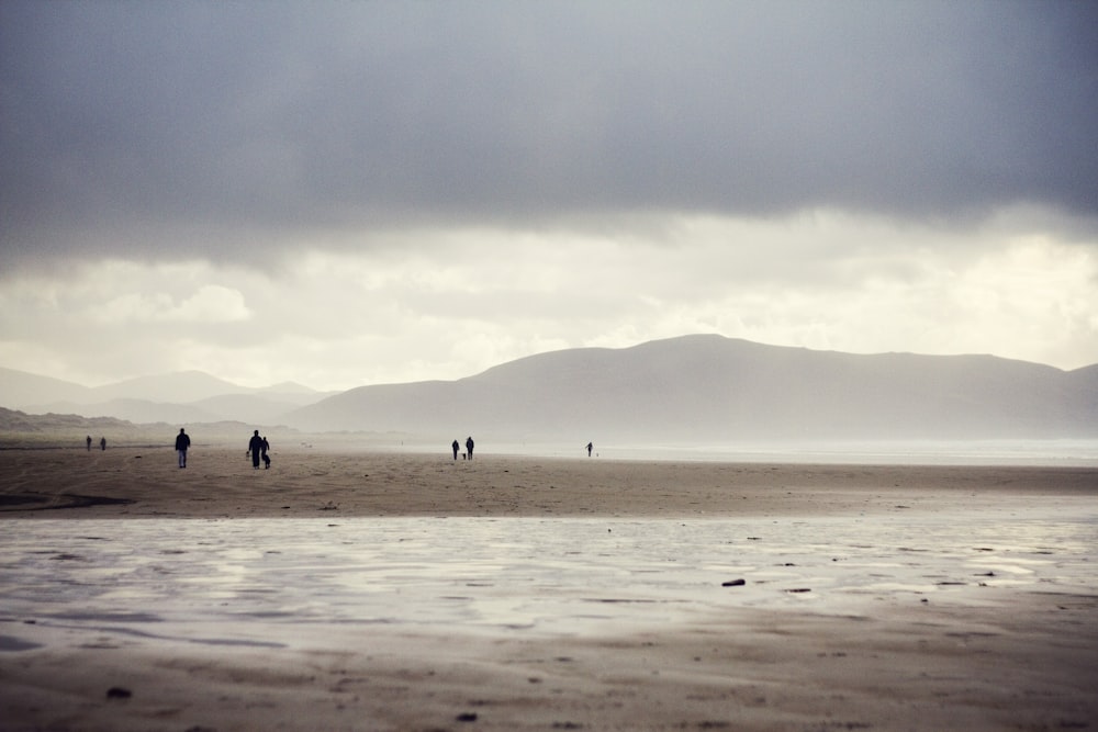 silhouette photo of people standing on gray sand