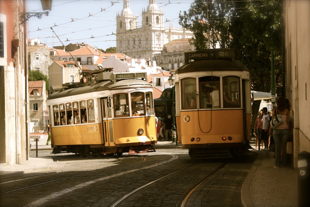 two yellow-and-white trams